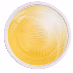 Yeelight YLDP004 Ampoule intelligente Wi-Fi Blanc 4,8 W