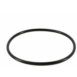 Hayward - Joint torique pour chlorinateur de piscine - CLX200K - Noir