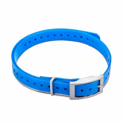 Garmin 010-11870-06, Chien, Bleu, Nylon, Polyuréthane, 19,1 mm
