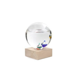 Kikkerland ST84 thermomètre environnement Intérieure Transparent, Bois