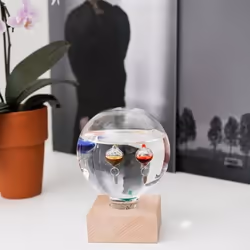 Kikkerland ST84 thermomètre environnement Intérieure Transparent, Bois