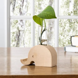 Vase de Propagation - KIKKERLAND - Élément Élégant - Bois de Hêtre - Verre - Design Contemporain