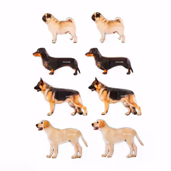 Kikkerland ST129, 52 mm, 64 mm, 170 g, 63 mm, 101,6 mm, 8 pièce(s)