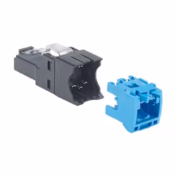 Panduit FP6X88MTG, Plat, Bleu, RJ-45, Femelle, 26/22, Cat6a