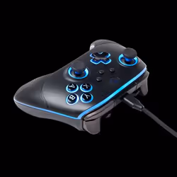 PowerA PCGP0382-01 accessoire de jeux vidéo Noir RF/USB Manette de jeu Analogique/Numérique PC - Vue supplémentaire 5