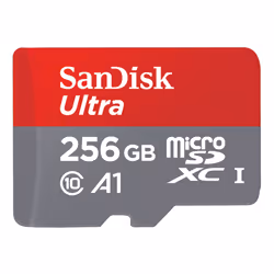 SanDisk SDSQUNI-256G-GN6MA, 256 Go, MicroSDXC, Classe 10, UHS-I, 95 Mo/s, Gris, Rouge