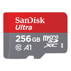 SanDisk SDSQUNI-256G-GN6MA mémoire flash 256 Go MicroSDXC UHS-I Classe 10