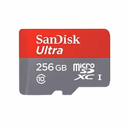 SanDisk SDSQUNI-256G-GN6MA mémoire flash 256 Go MicroSDXC UHS-I Classe 10