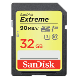 SanDisk SDSDXVE-032G-GNCI2 mémoire flash 32 Go SDHC UHS-I Classe 10