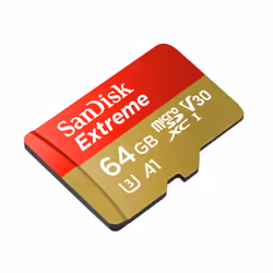 SanDisk Extreme 64 Go MicroSDXC UHS-I Classe 10