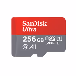 SanDisk Ultra, 256 Go, MicroSDXC, Classe 10, UHS-I, 100 Mo/s, Class 1 (U1)