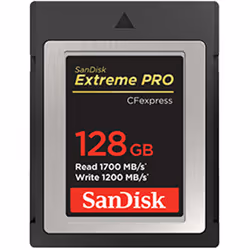 SanDisk Extreme Pro, 128 Go, CompactFlash, 1700 Mo/s, 1200 Mo/s, Noir