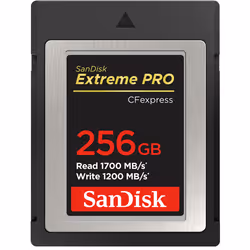 SanDisk Extreme Pro, 256 Go, CompactFlash, 1700 Mo/s, 1200 Mo/s, Noir