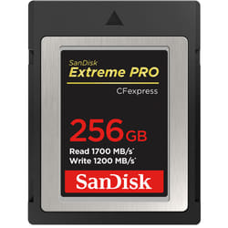 SanDisk Extreme Pro 256 Go CompactFlash