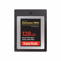 SanDisk SDCFE-128G-GN4NN, 128 Go, CFexpress, 1700 Mo/s, 1200 Mo/s, Noir