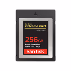 SanDisk SDCFE-256G-GN4NN, 256 Go, CFexpress, 1700 Mo/s, 1200 Mo/s, Noir