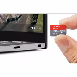 SanDisk Ultra 256 Go MicroSDXC UHS-I Classe 10