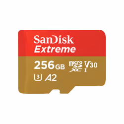 SanDisk Extreme, 256 Go, MicroSDXC, Classe 10, UHS-I, 190 Mo/s, 130 Mo/s