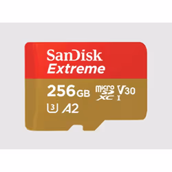 SanDisk Extreme, 256 Go, MicroSDXC, Classe 3, UHS-I, 160 Mo/s, 90 Mo/s
