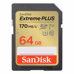 SanDisk SDSDXW2-064G-GNCIN, 64 Go, SDXC, Classe 10, 170 Mo/s, 60 Mo/s, Class 3 (U3)