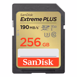 SanDisk SDSDXW2-256G-GNCIN, 64 Go, SDXC, Classe 10, 190 Mo/s, 130 Mo/s, Class 3 (U3)