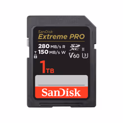 SanDisk SDSDXEP-1T00-GN4IN, 1 To, SDXC, Classe 10, UHS-II, 280 Mo/s, 150 Mo/s