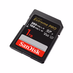 SanDisk SDSDXEP-1T00-GN4IN mémoire flash 1 To SDXC UHS-II Classe 10
