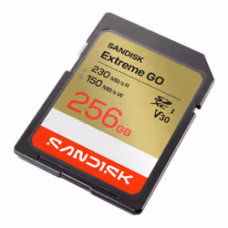 SanDisk Extreme GO 256 Go SDXC UHS-I - Vue supplémentaire 2