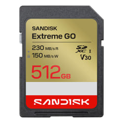 SanDisk Extreme GO 512 Go SDXC UHS-I