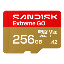 SanDisk Extreme GO 256 Go MicroSDXC UHS-I