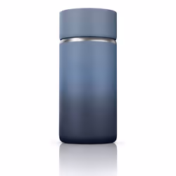 Ninja DW1203EUUKNV thermos 300 ml