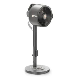 Shark FA300EU ventilateur Anthracite