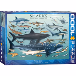 Eurographics Sharks 1000pcs, 1000 pièce(s), Animaux