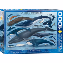 Eurographics Whales & Dolphins, 1000pcs, 1000 pièce(s), Faune