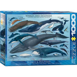 Eurographics Whales & Dolphins, 1000pcs Jeu de puzzle 1000 pièce(s) Faune