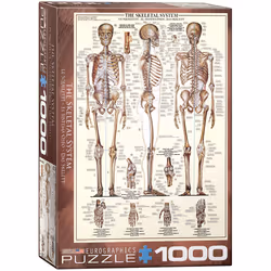 Eurographics The Skeletal System, 1000 pièce(s), Peuple
