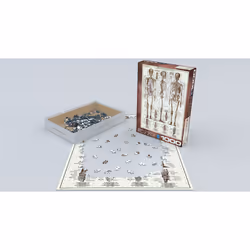 Eurographics The Skeletal System Jeu de puzzle 1000 pièce(s) Peuple