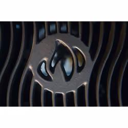 Napoleon Grills PRO22K-LEG-2 barbecue et grill Chaudron Charbon de bois (combustible) Noir - Vue supplémentaire 4