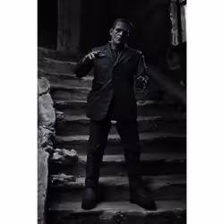 NECA Universal Monsters