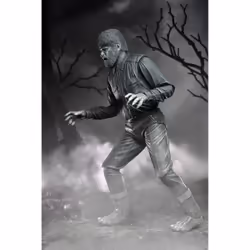NECA Ultimate Wolf Man (Black & White) - Vue supplémentaire 8