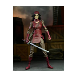 TMNT The Last Ronin Karai