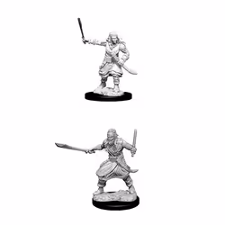 WizKids D&D Nolzur's Marvelous Miniatures: Bandits, Figurine à collectionner, Jeu vidéo