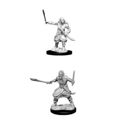 WizKids D&D Nolzur's Marvelous Miniatures: Bandits