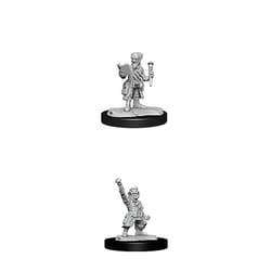 WizKids D&D Nolzur's Marvelous Miniatures: Gnome Artificer