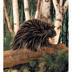 Folkmanis Porcupine