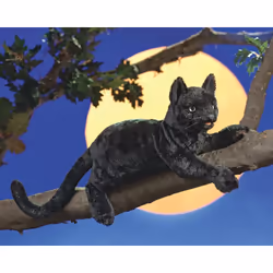 Folkmanis Cat