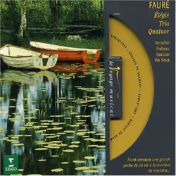 Warner Music Various - Fauré: Elégie Op.24, Cello Sonata Op.109, Piano Trio Op.120 &amp; String Quartet Op.121, CD, Classique ...