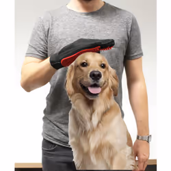 ISL Italy Starlyf Pet Glove Noir, Rouge Chat (animal) / Chien Gant - Vue supplémentaire 5
