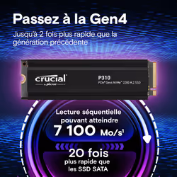 Crucial P310 1To M.2 PCI Express 4.0 NVMe