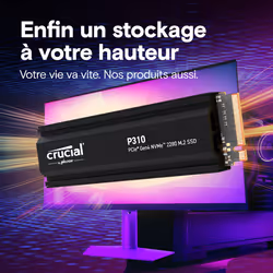 Crucial P310 2 To M.2 PCI Express 4.0 NVMe - Vue supplémentaire 6